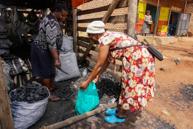 Charcoal Ban Drives Up Prices in Uganda, Putting Small Businesses in a Bind