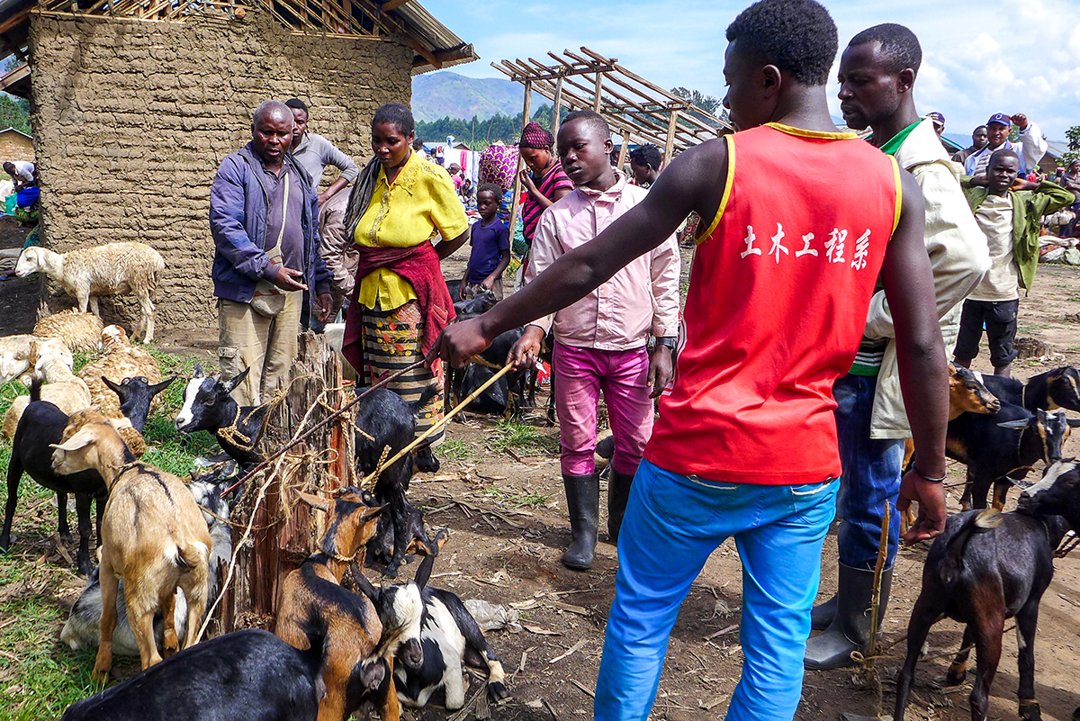 After Years of Conflict, Dialogue Begun To Set DRC Region on Path to Peace