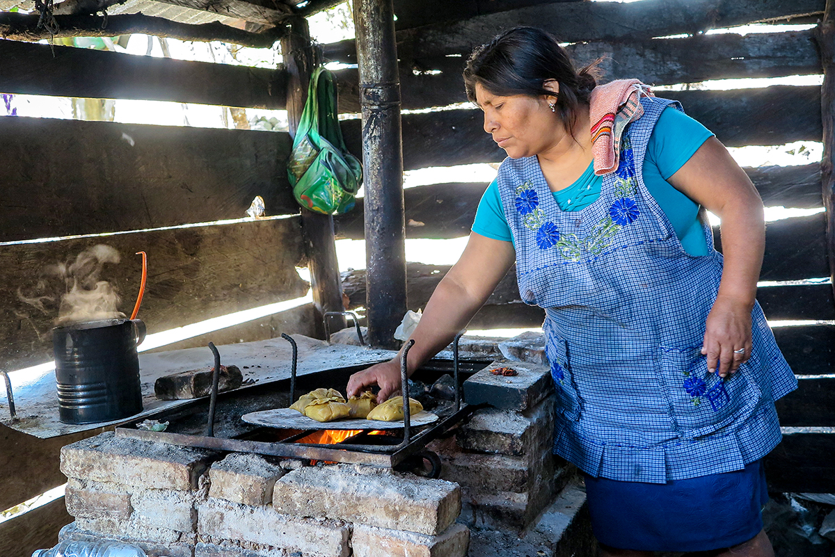 Corn, Foundation of Iconic Mexican Foods, Finds Protectors in Its Native Land