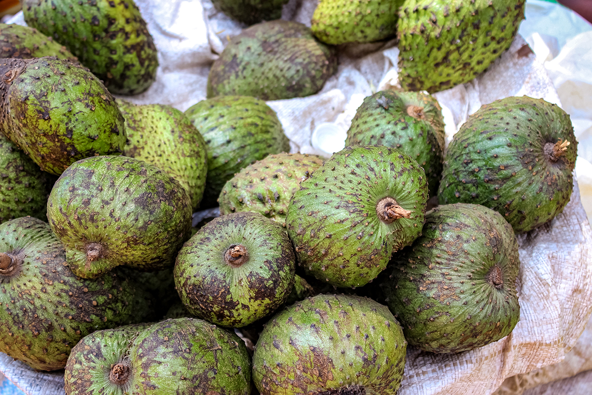 Hypertension Cure or Just Hype? Misinformation Spurs Uganda’s Soursop Craze