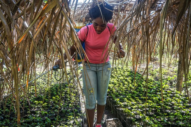 Organic Gardening Program Promotes Practice over Theory to Increase ...