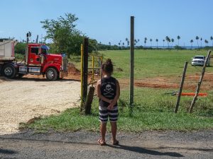 Amid Protest, Building Begins in Area Known for Biodiversity