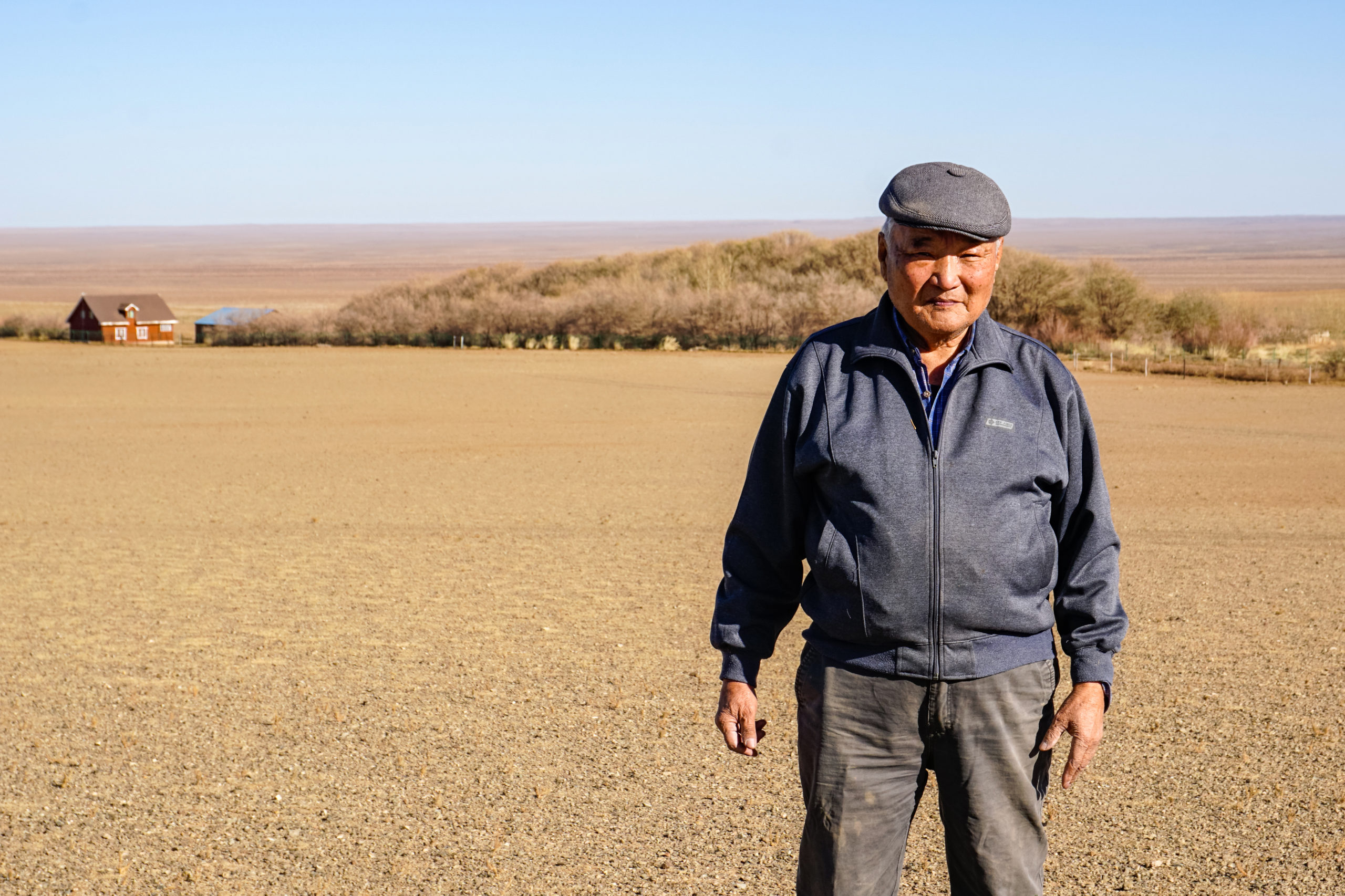 Homegrown Oasis: Planting Initiative Battles Dust Storms, Boosts Economy