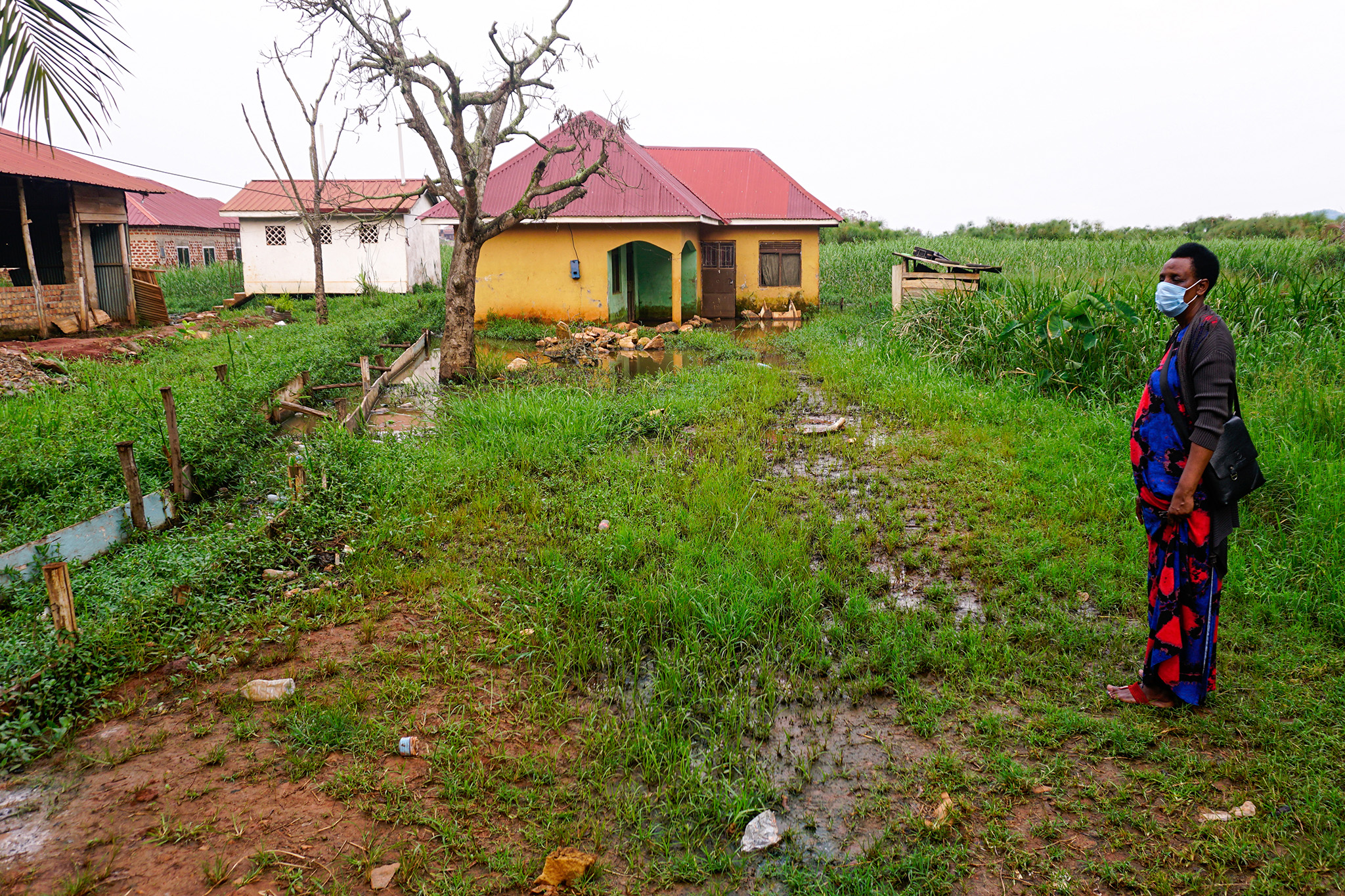 Battling Rising Water in Uganda’s Wetlands