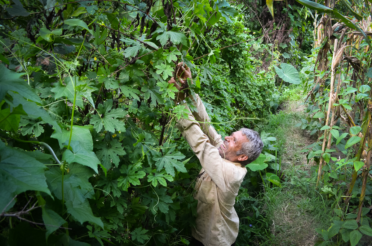 Using Training and Grants, Nepal Tries to Stem Exodus of Farmers Discouraged by Effects of Climate Change