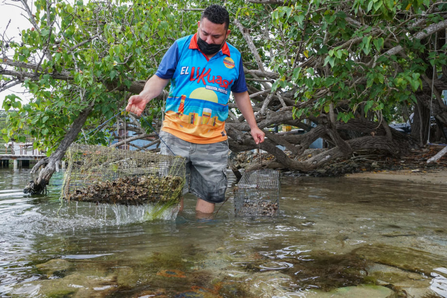 Shopkeeper Harvests Oysters in Puerto Rico Global Press Journal