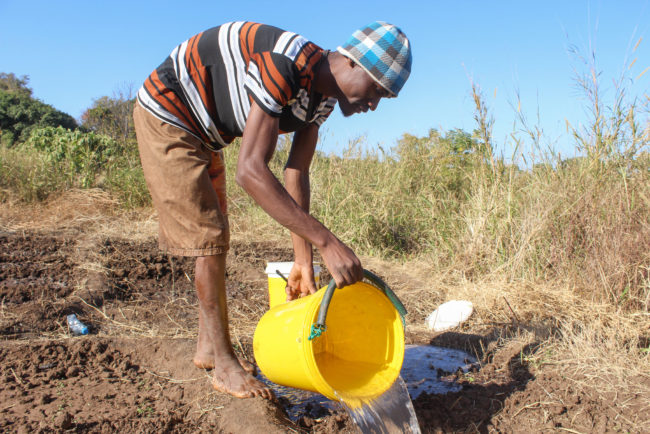 Food Production Dwindles as Fuel Costs Skyrocket - Vimarsana News