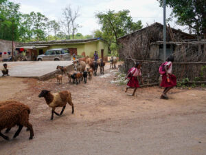 ‘God’s Work’ Is Modi’s Work in Rural India