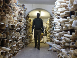 Zimbabwe Has Ivory Worth Millions but Can’t Use